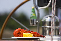 Lobster and sweetcorn on a plate on board a Morris 42, Newport, Rhode Island, USA.