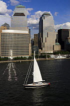 Sailing boat in front of skyscrapers, New York harbour, USA.