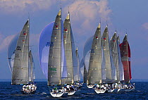 During a race at the Farr 40 one-design class World Championship.