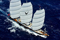 Aerial view of megayacht "Maltese Falcon" during the St Barth's Bucket 2007, St Barthelemy, Caribbean. Property released.