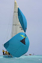 Hoisting the spinnaker on a one-design class yacht, Key West Race Week 2006, Florida, USA.