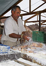 A local man salting fish to preserve them in a fishing village on Isla Coyote, Mexico, 2006.