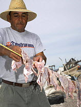 A local man hanging fish fillets to dry after they are salted and preserved in a fishing village on Isla Coyote, Mexico. 2006.