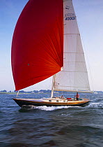 Morris cruising yacht sailing under gennaker, Maine, USA.