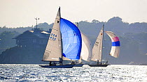 Local fleet of Shields evening racing in Newport, Rhode Island, USA.