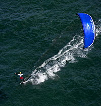 Kite boarder during the Hobie 16 Nationals, Narragansett, Rhode Island, USA. September 2006.
