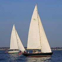 Morris 42 and Morris 36 cruising yachts sailing in Narragansett Bay, Newport, Rhode Island, USA. September 2006.