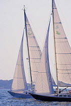 Morris 42 and Morris 36 cruising yachts sailing in Narragansett Bay, Newport, Rhode Island, USA. September 2006.