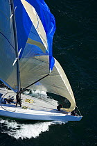 The crew on this 12m takes down the head sail while sailing downwind under spinnaker in the 2006 12 Metre North American Championships, Newport, Rhode Island, USA.