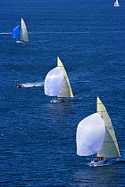 12m yachts racing downwind under spinnakers in the 2006 12 Metre North American Championships, Newport, Rhode Island, USA.
