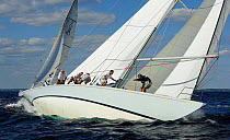 12m yachts during the 2006 12 Metre North American Championships, Newport, Rhode Island, USA.