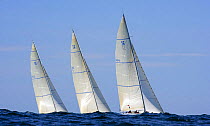 12m yachts racing through the swells in the 2006 12 Metre North American Championships, Newport, Rhode Island, USA.