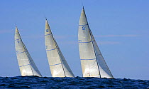 12m yachts racing through the swells in the 2006 12 Metre North American Championships, Newport, Rhode Island, USA.