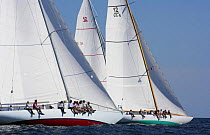 12m yachts racing upwind in the 2006 12 Metre North American Championships. Crews sitting on the windward rail. Newport, Rhode Island, USA.