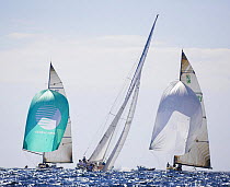 12m yachts racing in the 2006 12 Metre North American Championships, Newport, Rhode Island, USA.
