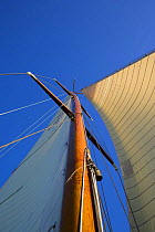 Mast and sails of 12m yacht "Gleam" sailing off Newport, Rhode Island, USA. September 2006.