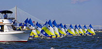 Racing at the Sunfish World Championship, Charleston, South Carolina, USA.