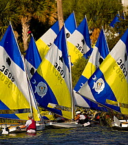 Returning to shore during the Sunfish World Championship, Charleston, South Carolina, USA.