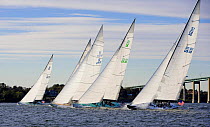 A fleet of 12m yachts racing in Narragansett Bay, Newport, Rhode Island, USA. October 2006.
