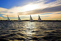 A fleet of 12m yachts racing at sunset in Narragansett Bay, Newport, Rhode Island, USA. October 2006.