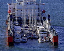 Dockwise yacht transport ship loading in Newport, Rhode Island, USA. Fall 2006.