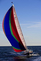 Fontaine 53 cruising yacht sailing under spinnaker in Rhode Island, USA. October 2006.
