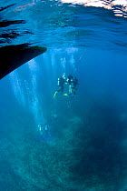 Descending the rope to go scuba diving, British Virgin Islands, Caribbean, December, 2006.