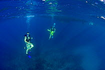 Two people scuba diving, British Virgin Islands, Caribbean, December, 2006.