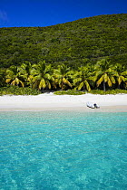Tender tethered on a white sandy palm tree lined beach, British Virgin Islands, Caribbean, December, 2006.