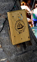 A wooden sign for the Soggy Dollar bar mounted on a tree, Joss Van Dyke, British Virgin Islands, Caribbean. December 2006.