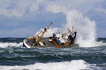 North sea prawn trawler ^Soverign^ aground on rocks 1 mile from Fraserburgh harbour entrance, with waves crashing over her. Scotland. February 2007.