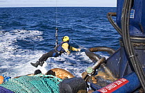 Winchman being lowered onto the aft deck of a fishng vessel from a helicopter during a training excercise on the North Sea.