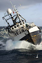 Fishing vessel "Demares" rolling to starboard in heavy seas. March 2008.