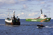 Greenpeace activists disrupting fishing operations on fishing trawler "Carisanne", 40 miles east of the Shetland Isle of Unst, Scotland.