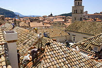 Men repairing a terracotta tiled roof in the town of Dubrovnik, Croatia.