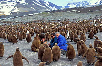 Producer Alastair Fothergill, cameraman Paul Atkins and presenter David Attenborough in king penguin colony on location for BBC Life in the Freezer, South Georgia 1992