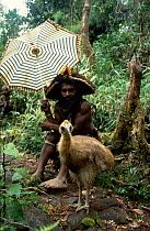 Cassowary chick {Casuarius casuarius} with Huli wigman Papua New Guinea. The Cassowary