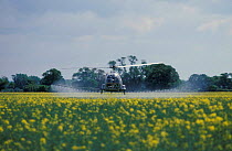 Helicopter spraying oil seed rape crop. UK