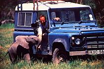 Camerman Martyn Colbeck and elephant calf Ebony, daughter of Echo, on location for BBC programme Echo the Elephant, 1995