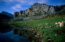 Covadonga NP Erina lake and Picos Europa Spain