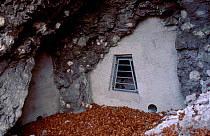 Man-made entrance to bat cave (Chiroptera) Germany