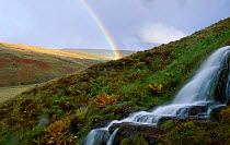 Rainbow over hillside waterfall. Brecon beacons Wales UK