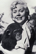 Michaela Dennis, presenter of On Safari, with pet chimp, July 1961