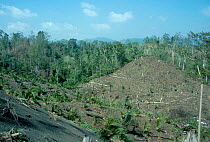 Deforestation near Tangkoko NR Sulawesi Indonesia