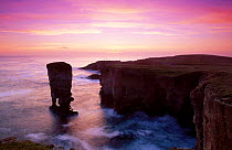 Yesnaby Castle stack at sunset. Pentland Firth Orkney Is Scotland UK