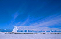 Iceberg with Emperor penguin colony Cape Darnley Antarctica