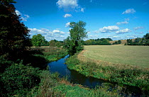 River Eden near Penshurst Kent England.