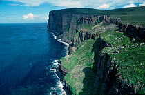 Cliffs at St. Johns Head Highest vertical cliffs in UK Hoy Orkney Islands Scotland U