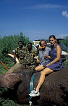 Dr Ian Douglas-Hamilton fitting GPS satellite tracking collar to bull elephant Samburu GR Kenya