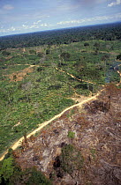 Aerial view of rainforest destruction, Para, BRAZIL